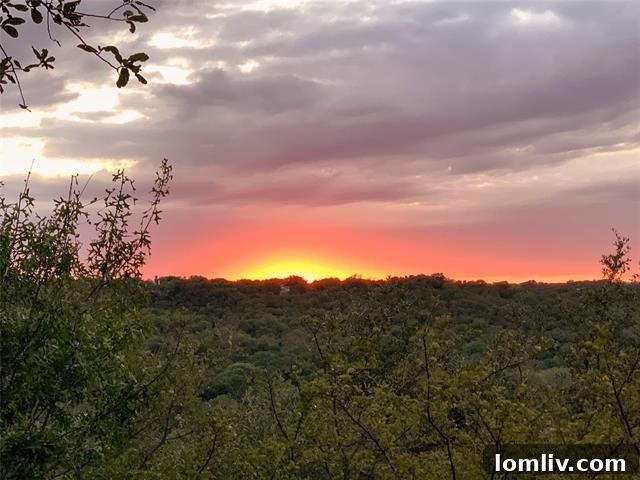 Fort Worth Luxury Estate Landscape