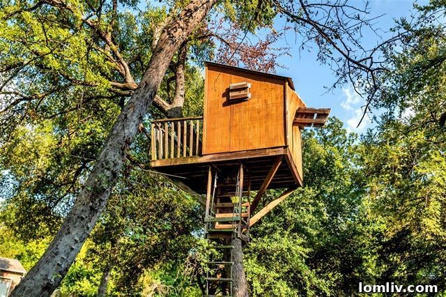 Lush Gardens and Scenic Backyard Views