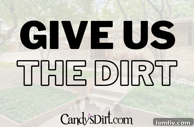 Your Voice, Our Vision: Shape the Future of Daltxrealestate.com