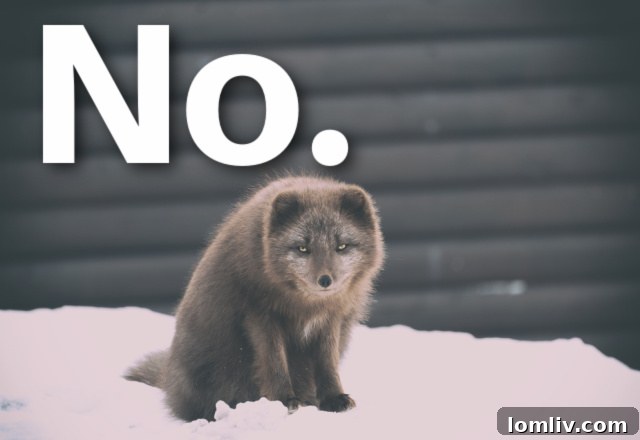 Texas Winter Storm Impact and Power Outages