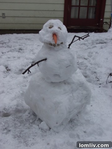 Powerless Old House: My Perpetual Weather Exile 12 Empowering Historic Homes: Solutions for Uninterrupted Living