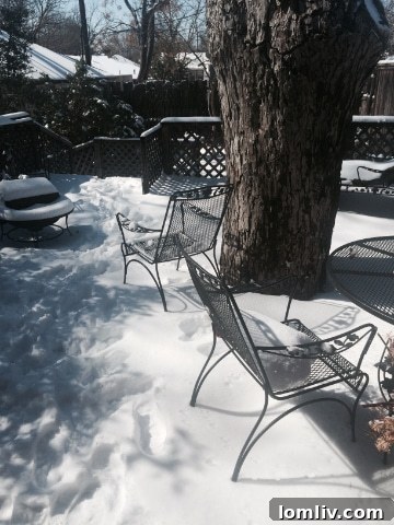 Powerless Old House: My Perpetual Weather Exile 3 Winter's Embrace: Historic Homes and Climate Challenges