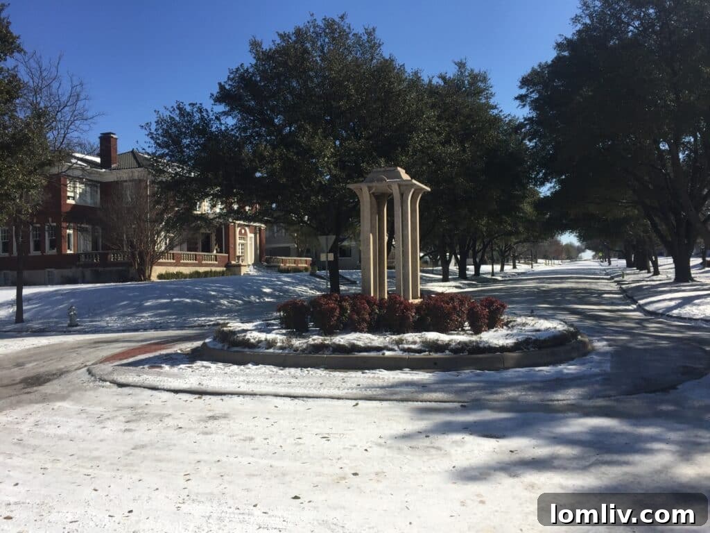 Amid Fort Worth's Storm Battle, Ryan Place Neighbors Become the First Line 10 Icy side streets in Ryan Place Fort Worth after winter storm