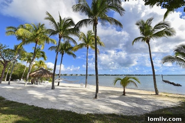 Serene Florida Beachfront with Palm Trees