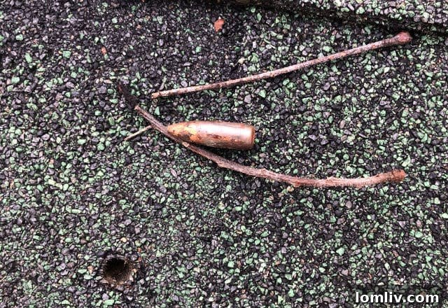 Damaged roof with bullet holes