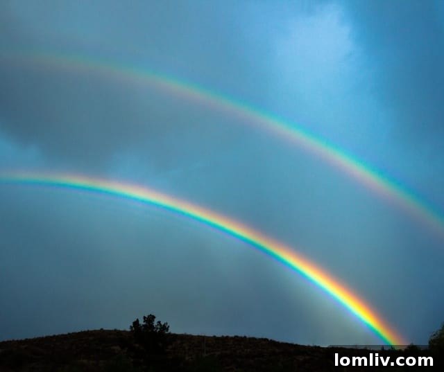 Dangerous electrical outlet placement