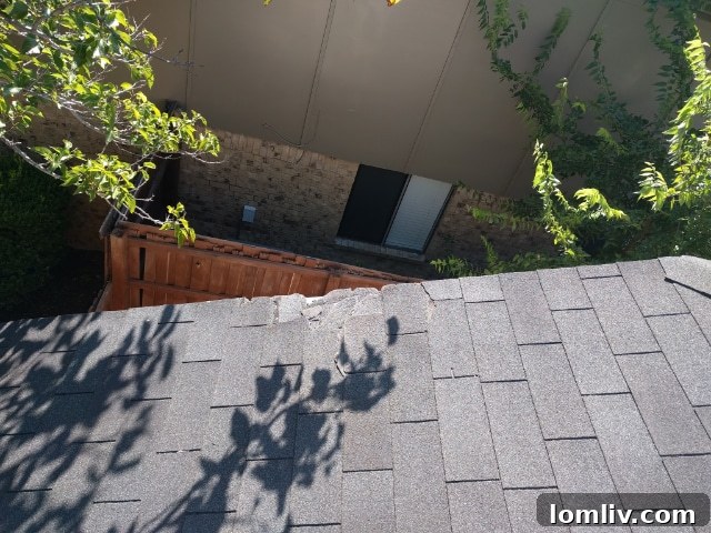 Spring's Unveiling: Critical Inspection Points 3 Maintaining a safe perimeter around your home