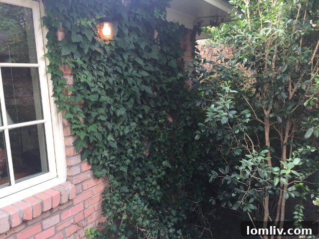 Spring's Unveiling: Critical Inspection Points 4 Cutting back foliage from home foundation