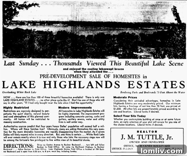 Bright and airy living room interior