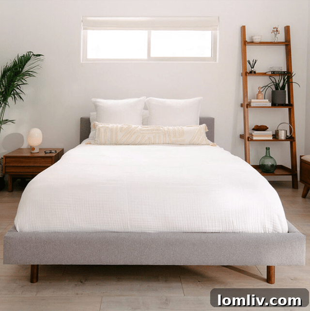 Fernish offers a wide selection of essential home furniture