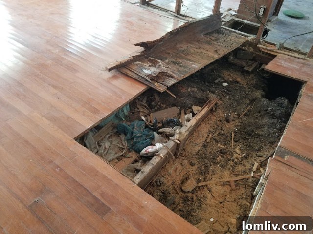 Excavation process around the foundation of 5307 Worth Street before repairs.