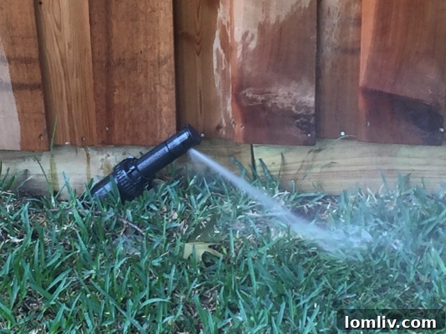 Summer Proof Your Home: Addressing Seasonal Challenges 2 sprinkler