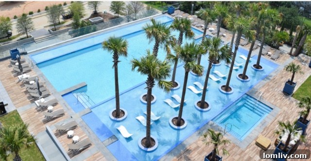 Rooftop Amenity Space with City Views