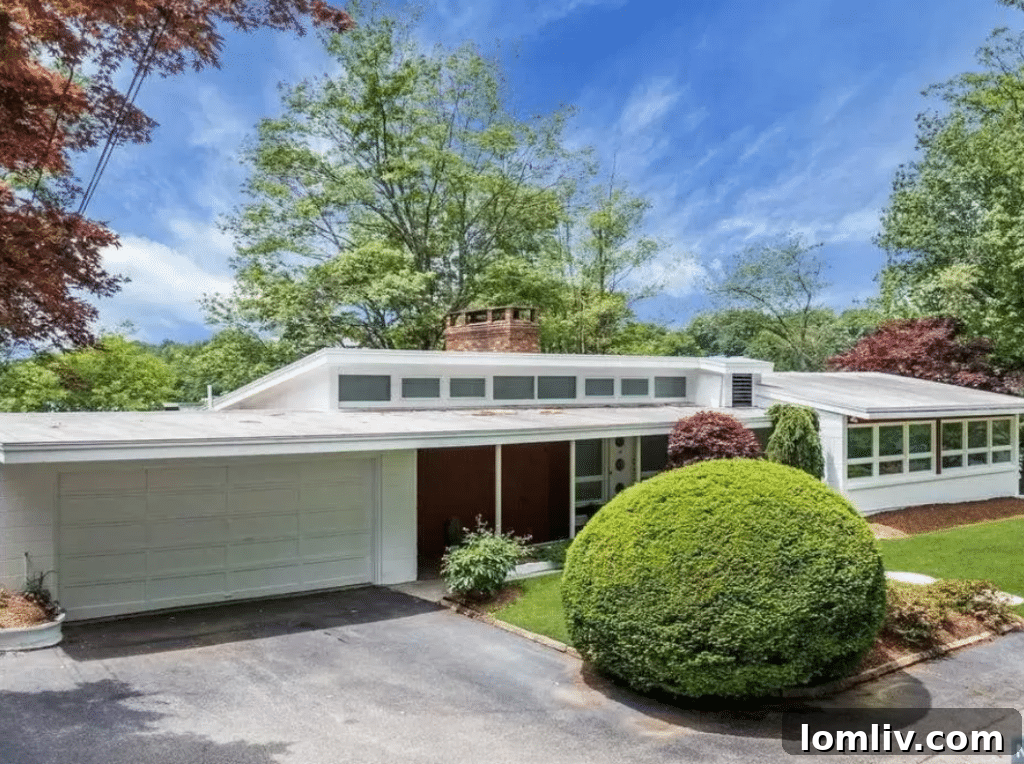 New Jersey's Midcentury Masterpiece Awaits 2 Adam Horovitz's iconic Midcentury Modern lakefront home in West Milford, New Jersey