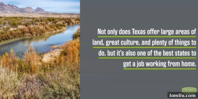 From City Bustle to Lucas Estate Grandeur 4 Screen-Shot-2021-07-03-at-10.25.28-PM