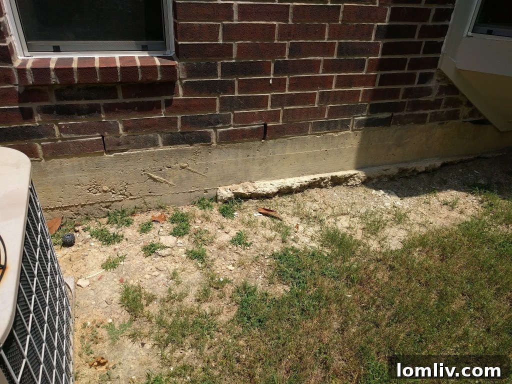 home-inspection-home-inspector-magnifying-glass