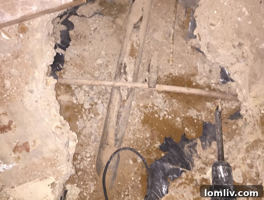 home-inspection-home-inspector-magnifying-glass