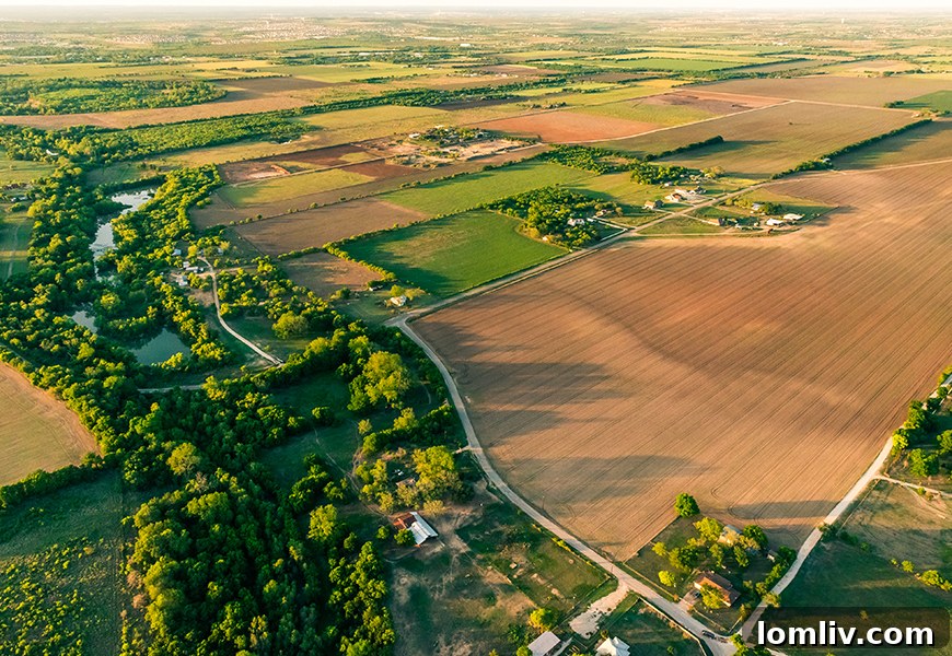 The Global Land Grab An Economist Explains 2 2268-hero
