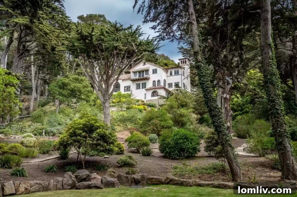 Outdoor amenities and stunning views at the Carmel Highlands estate.