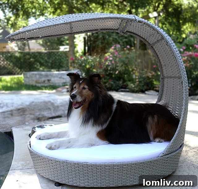 alicia-11-1626729439