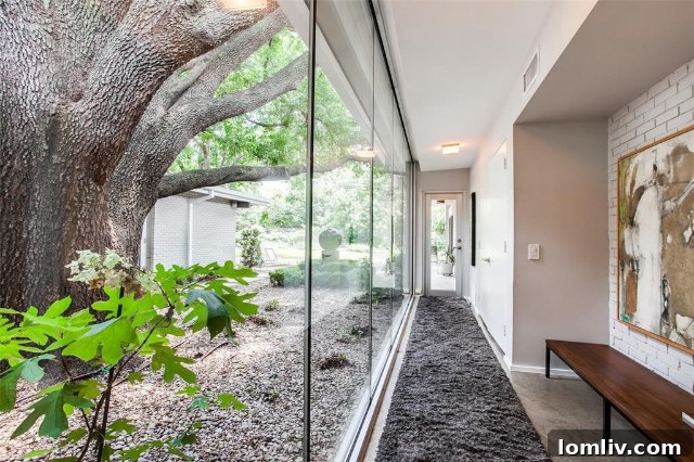 10646 Royal Springs Drive For Sale - Dallas Real Estate