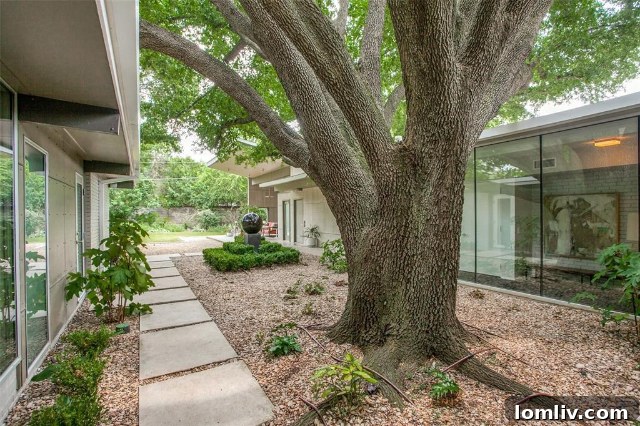 Dallas Luxury Real Estate - Midcentury Modern Market