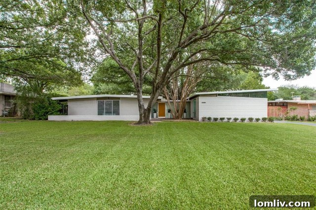 Midcentury Modern Interior Design - 10646 Royal Springs Drive