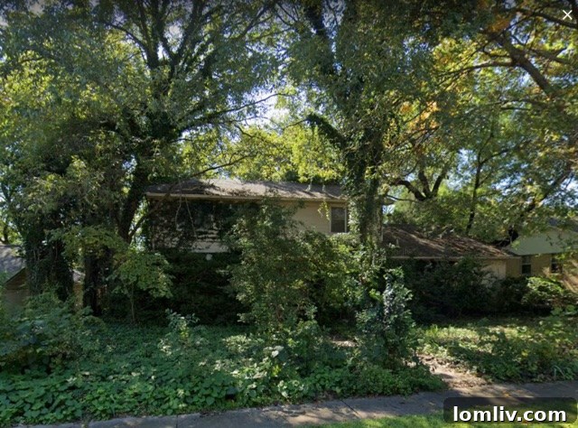 Overgrown and neglected exterior of 9936 Estate Lane before renovation, resembling a dense jungle