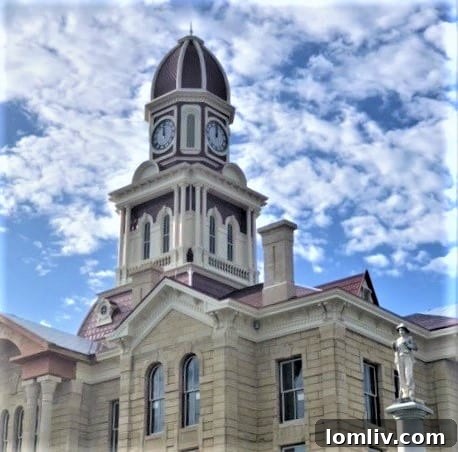 Close-up view of intricate stonework restoration in progress on the Fannin County Courthouse.