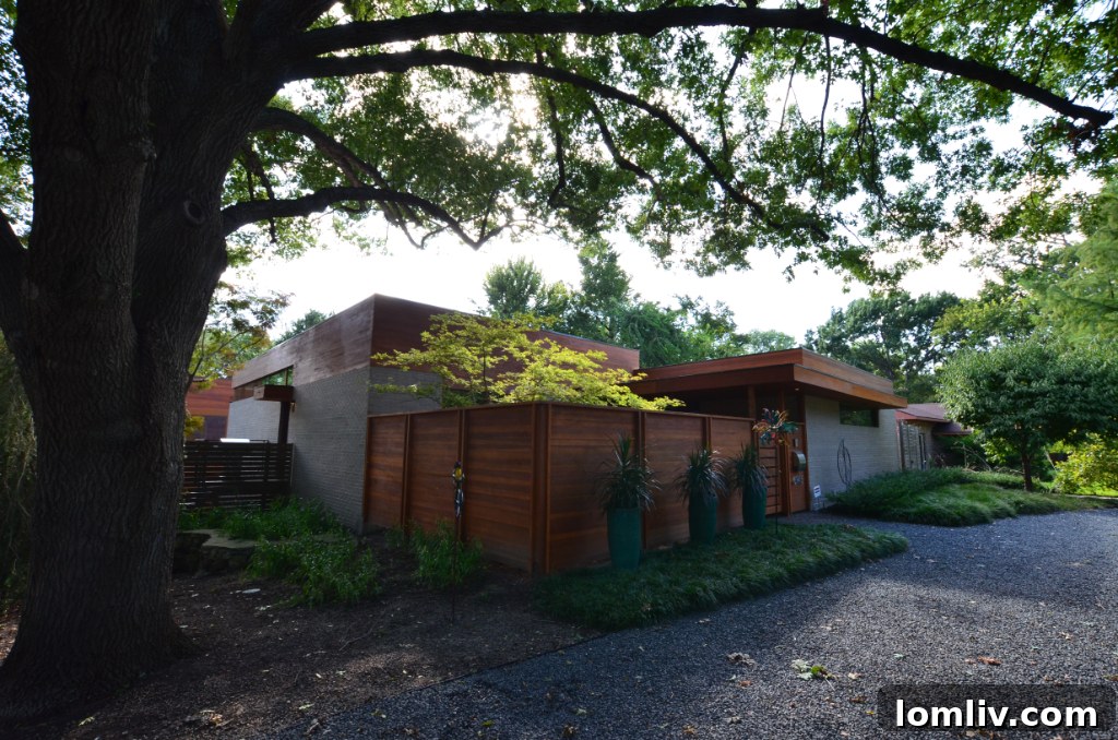 Modern Lyre Lane Residence exterior by James E. Manning Architect