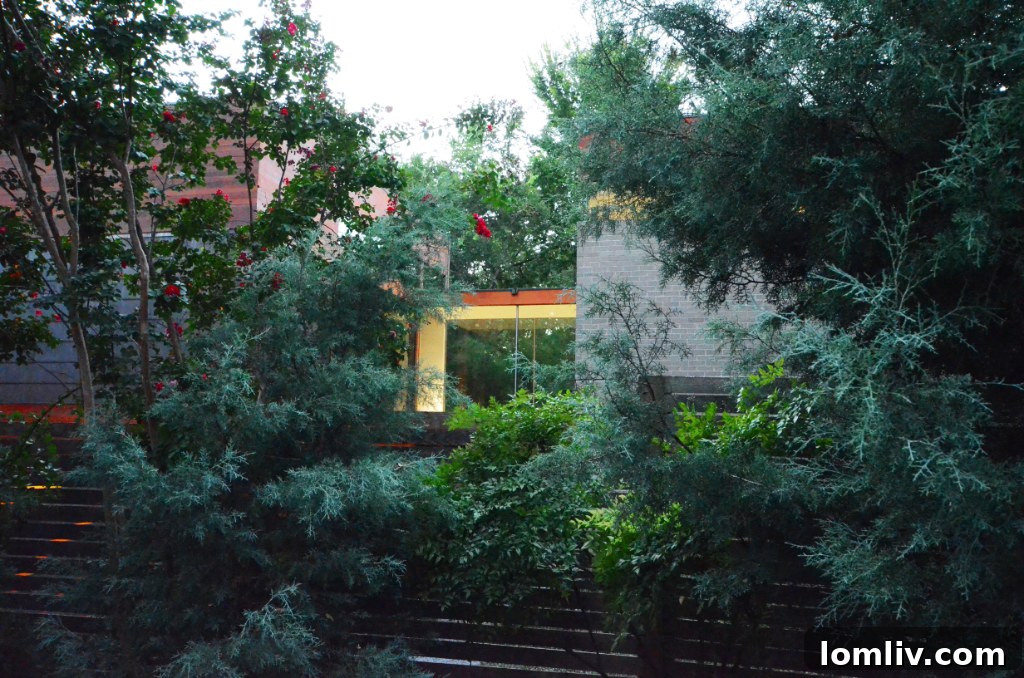 Shared living spaces opening towards a creek at the back of Lyre Lane home