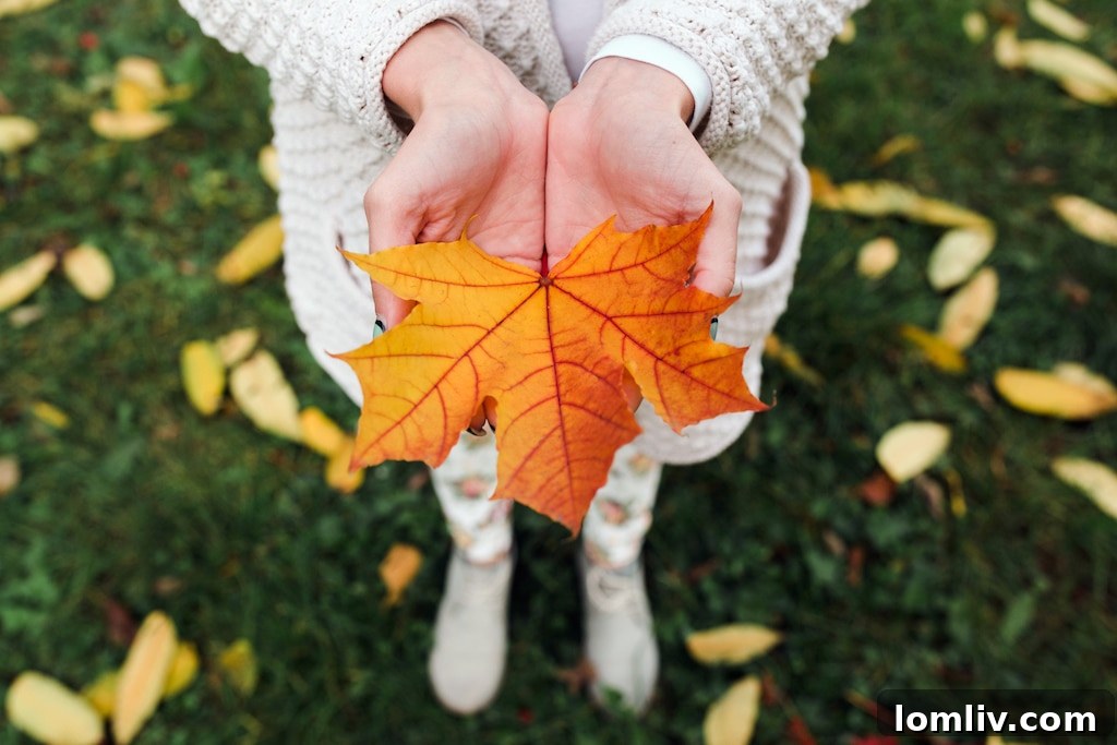 Autumn leaves held in a woman's hands, symbolizing fall home maintenance