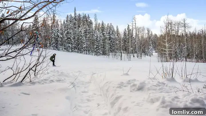 Luxury Thanksgiving Colorado