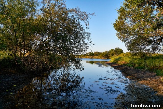 Rendering of a new home in Ten Mile Creek Celina