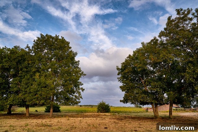 Conceptual design of community amenities at Ten Mile Creek Celina