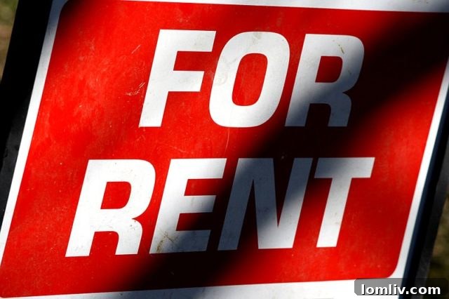 For Rent Sign - Understanding the Millennial Housing Market and Rental Trends