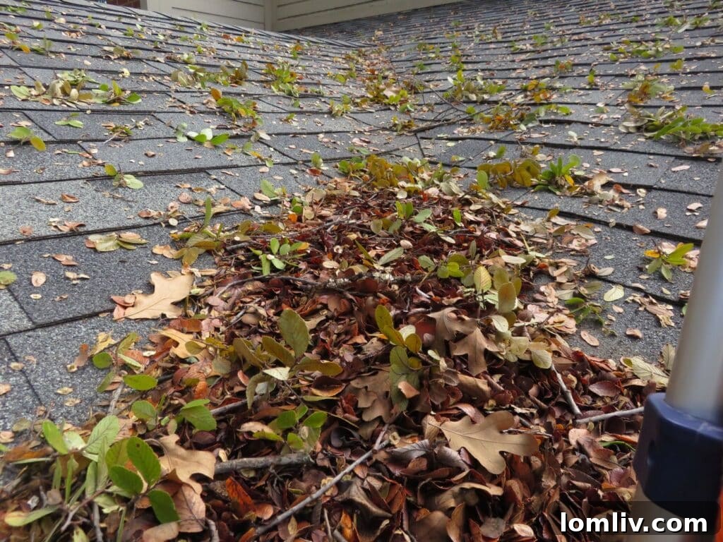 Roof and Gutter Cleaning for Winter Home Preparation