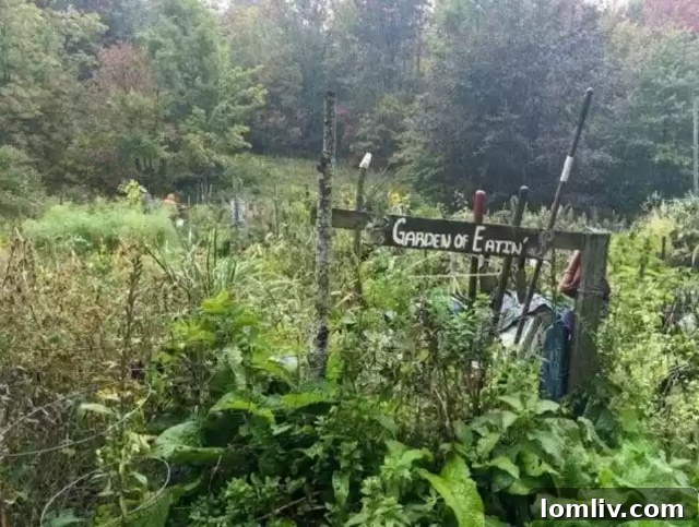 w5o31k3kp1sTjRFxFtg_AYVhaluzuk6Dx_I40Gs5oHQ0XKOnpcLt2N7WWoP6lHeGyYGesAXY9bS0pqEqOc-RbY-Rs6deFVm4vtWVWuXAvPxrlr1UO-K-4t_NpvEYDOm_3qjceNzV