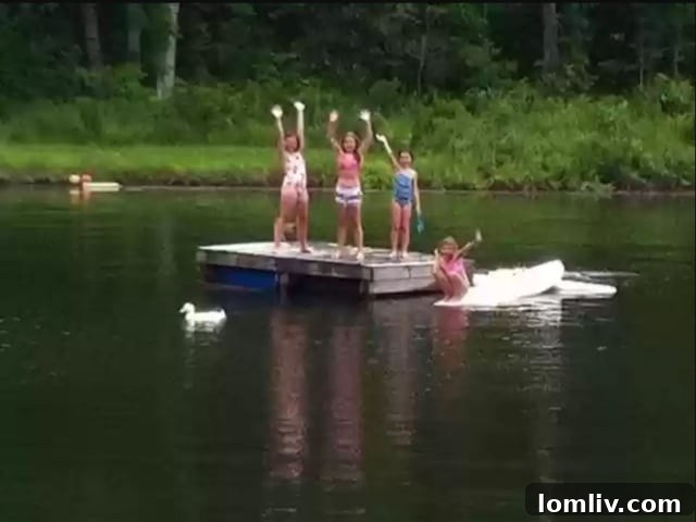 w5o31k3kp1sTjRFxFtg_AYVhaluzuk6Dx_I40Gs5oHQ0XKOnpcLt2N7WWoP6lHeGyYGesAXY9bS0pqEqOc-RbY-Rs6deFVm4vtWVWuXAvPxrlr1UO-K-4t_NpvEYDOm_3qjceNzV