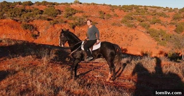 Lori Ericsson riding her horse, embodying her 'horse sense' in action.