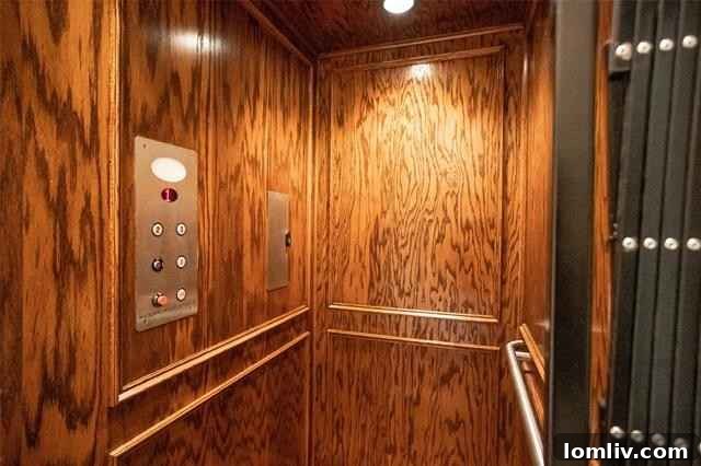 Bonus Space Above Garage