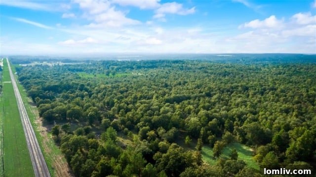 Expansive pool area with private spa and outdoor living space at the luxury ranch
