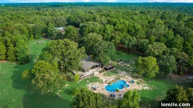 Lush green landscape and trees at Harmony Springs Ranch