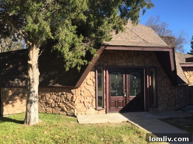 Exterior of geodesic dome home before renovation, showing traditional brown doors.
