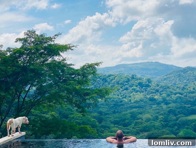 David Collier in a contemplative pose