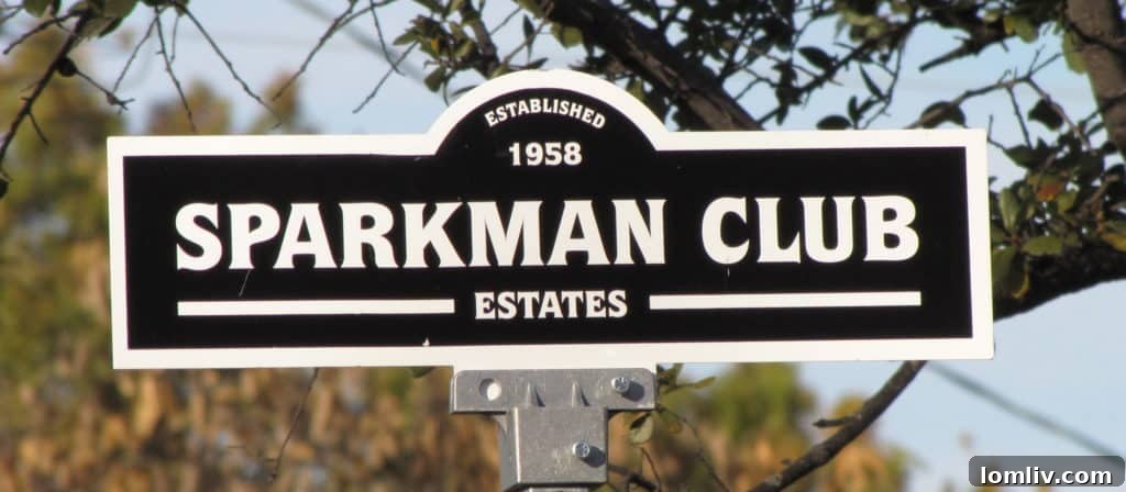 Sparkman Club Estates: Your Turnkey Home in a Welcoming Community 3 10443 Royal Club Lane Dallas - Inviting Front Exterior
