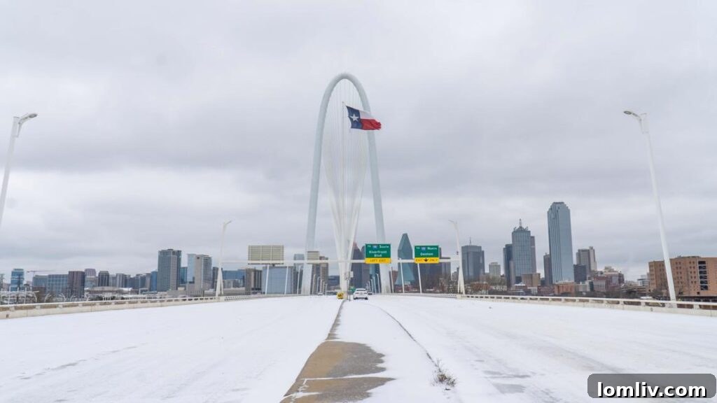 North Texas Realtors braving winter weather to stay productive