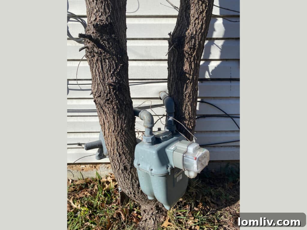 Rooted-Gas-Meter-1-1024x768