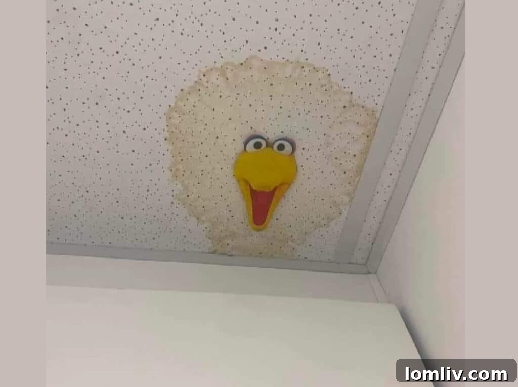 Rooted-Gas-Meter-1-1024x768