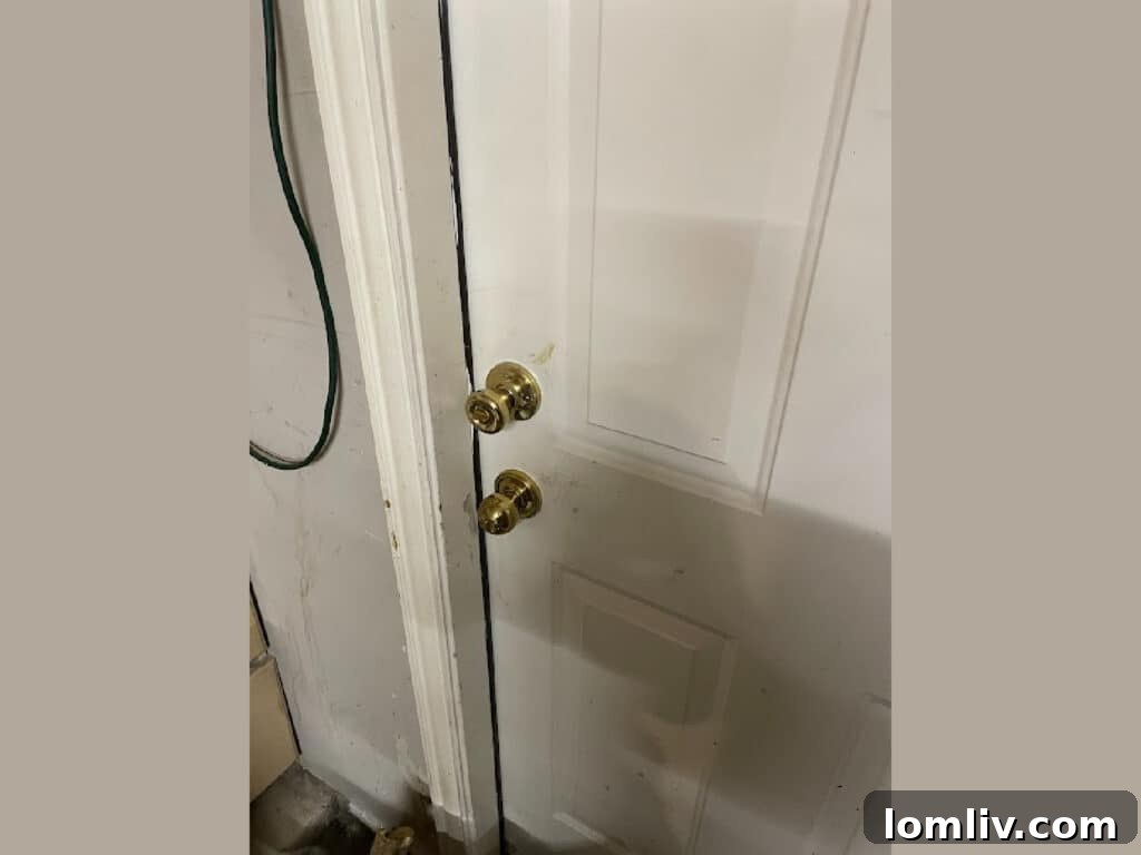 Rooted-Gas-Meter-1-1024x768